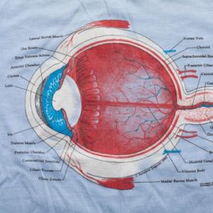 Vintage 80s Medical Eyeball Anatomy Diagram T-Shirt, Science