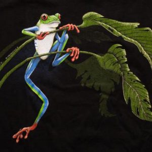 Red-Eyed Tree Frog T-Shirt, Harlequin, Nature Amphibian