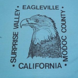 Vintage 1980s Eagleville CA Light Blue Tourist T-Shirt L