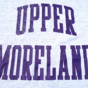 Vintage 1980s Heather Gray Upper Moreland PA T Shirt L