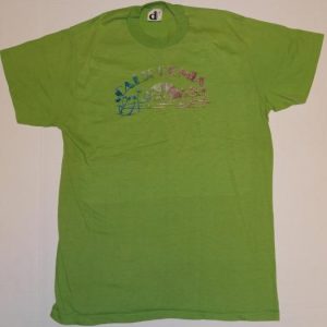 Vintage Green California Iron-on Palm Tree Beach T-Shirt
