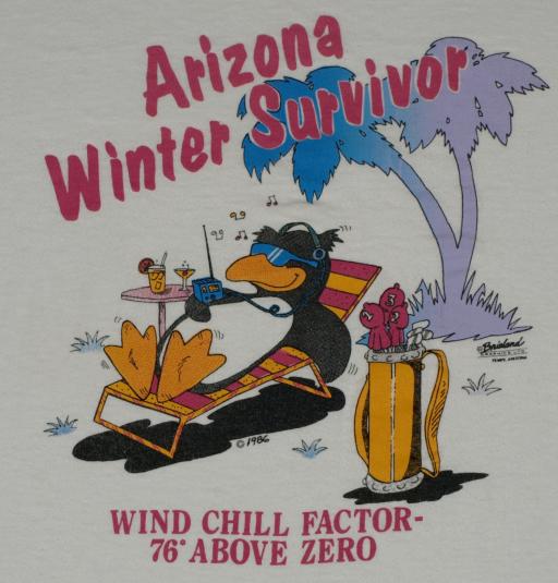 Vintage 1986 Arizona Winter Penguin T-Shirt 1980s Travel