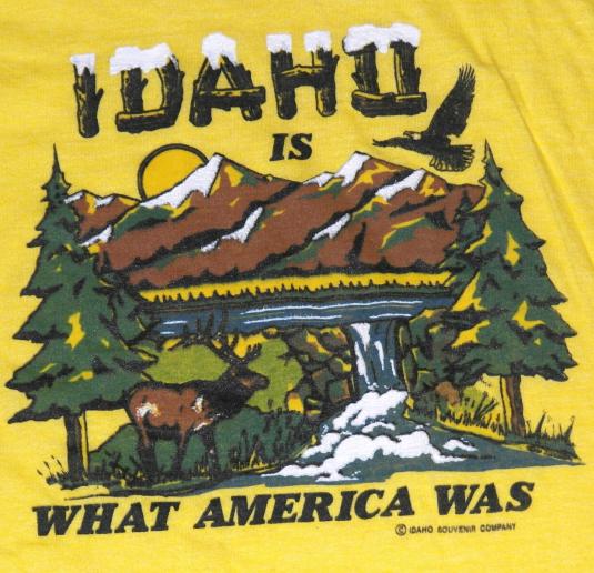 Vintage 1980s Idaho Yellow Screen Stars T-Shirt