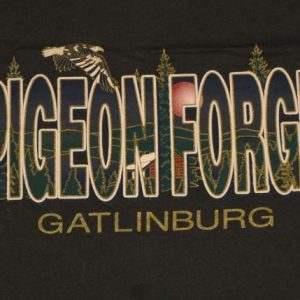 Vintage 1980s Pigeon Forge Gatlinburg Tennessee T-Shirt