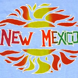 Vintage 1980s New Mexico Blue T-shirt Soft Thin