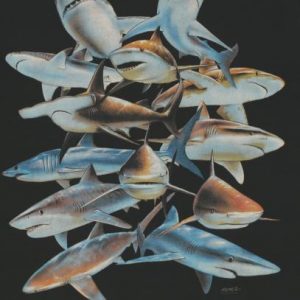 Vintage 1990s Baltimore Aquarium Shark T-Shirt