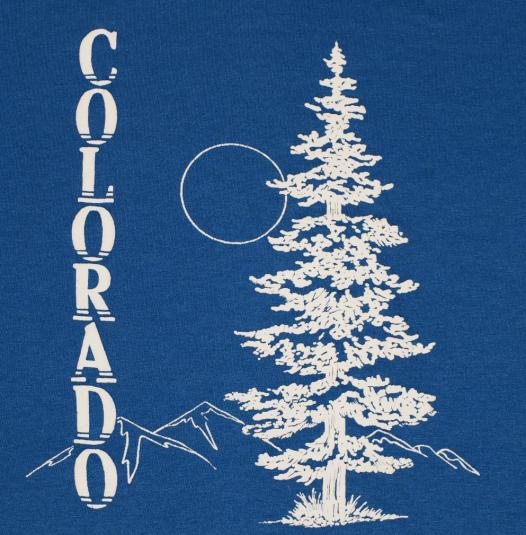 Vintage 1980’s Colorado Blue Soft Thin Indie T-Shirt