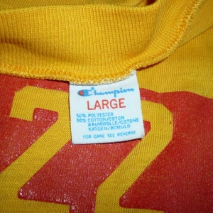 Vintage Pasaden City College Champion 50/50 T-Shirt