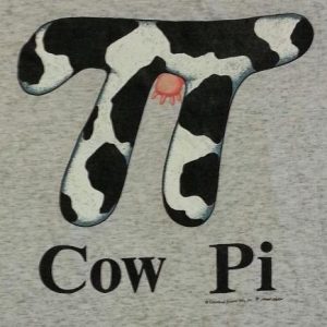 Vintage 90s COW PI Farm Math Humor T-Shirt Sz XL