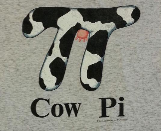 Vintage 90s COW PI Farm Math Humor T-Shirt Sz XL
