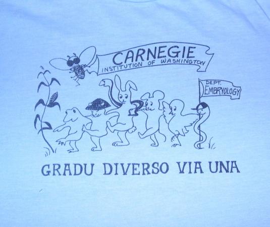 VTG 80s Carnegie Institution Embryology T-Shirt Fits S to M