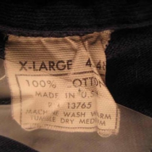 Vintage 1970's t-shirt, Madison, Wisconsin, L X