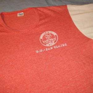 Vintage 1970's UWEC t-shirt, Champion blue bar, Eau Claire