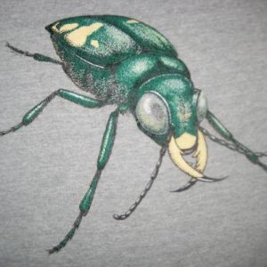 Vintage 1980's big beetle t-shirt, soft and thin, large