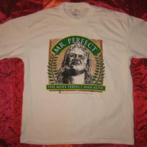 Vintage Mr. Perfect WWF t-shirt, XL