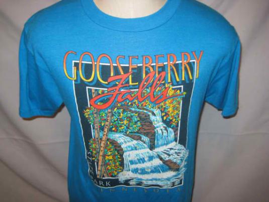 Vintage 1980’s Gooseberry Falls t-shirt, M L