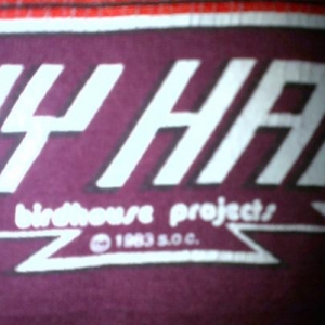 Vintage 1983 Tony Hawk BIRDHOUSE Project Tshirt