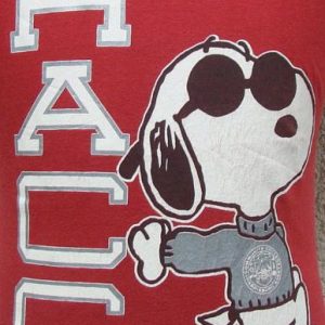 Vintage 80's HACC Snoopy jersey shirt M