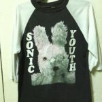 sonic youth dirty bunny