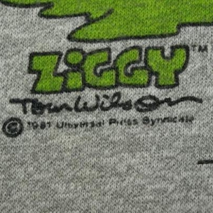 Vintage 1987 Ziggy Smoky Mountains Raglan Jersey Shirt