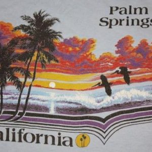 L * vintage 1982 PALM SPRINGS CALIFORNIA t-shirt * tourist