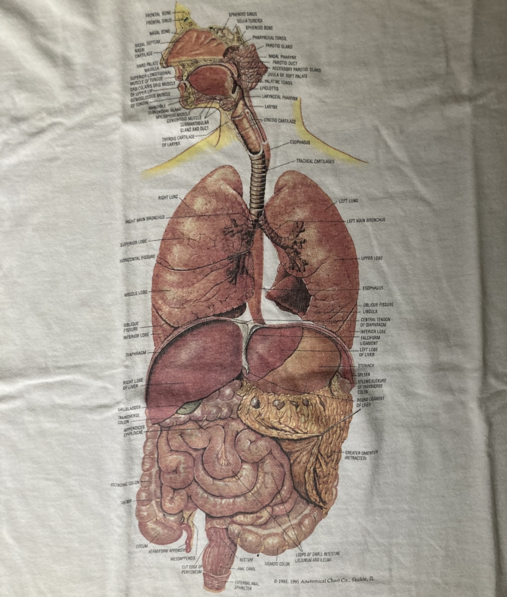 2022発売 90s 耳 三半規管 Anatomical Chart co 解剖図 Tシャツ