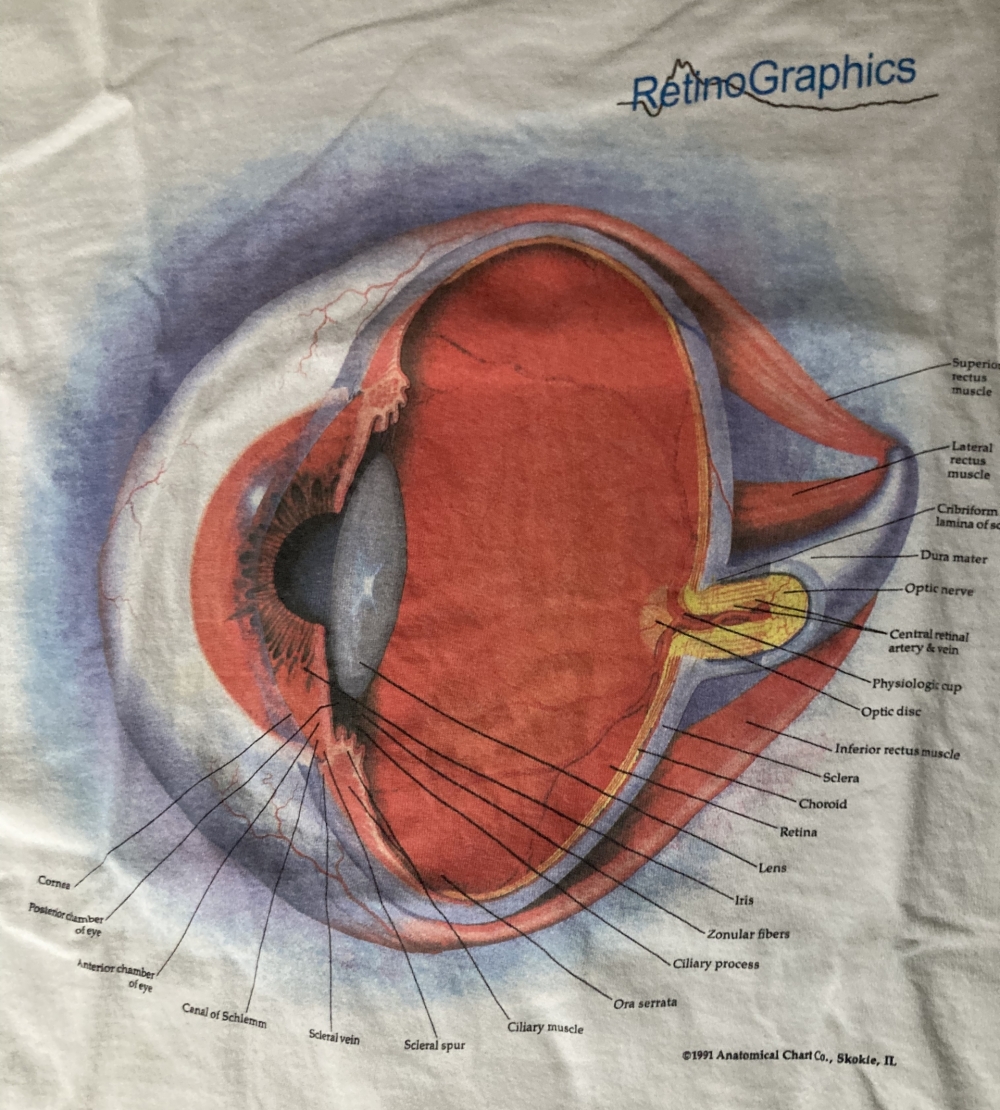 Anatomical Chart Co The Eye T-Shirt Close Up