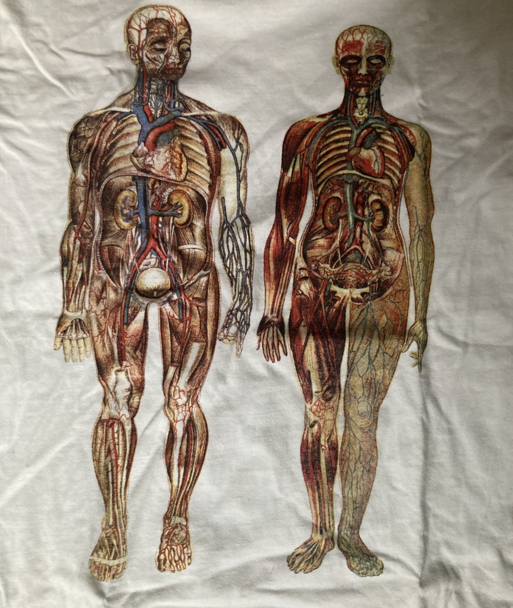 Male & Female Anatomical t-shirt close up