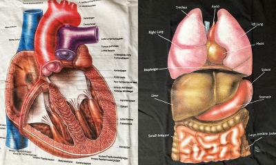 Vintage Anatomy T-Shirt Collection
