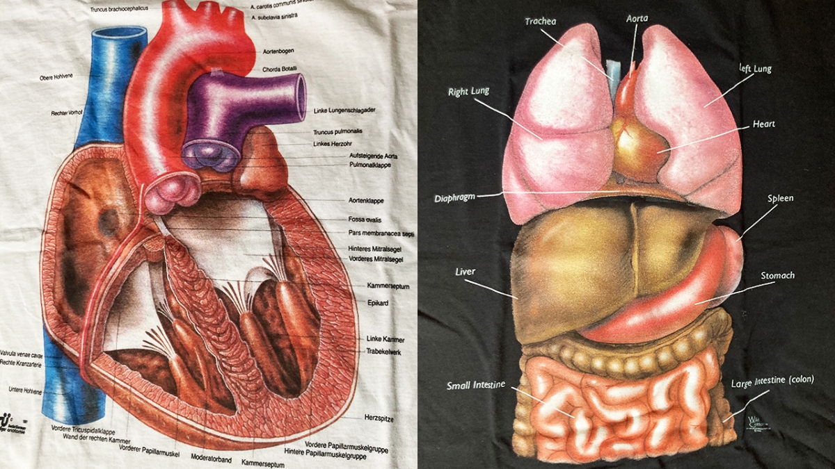 Vintage Anatomy T-Shirt Collection