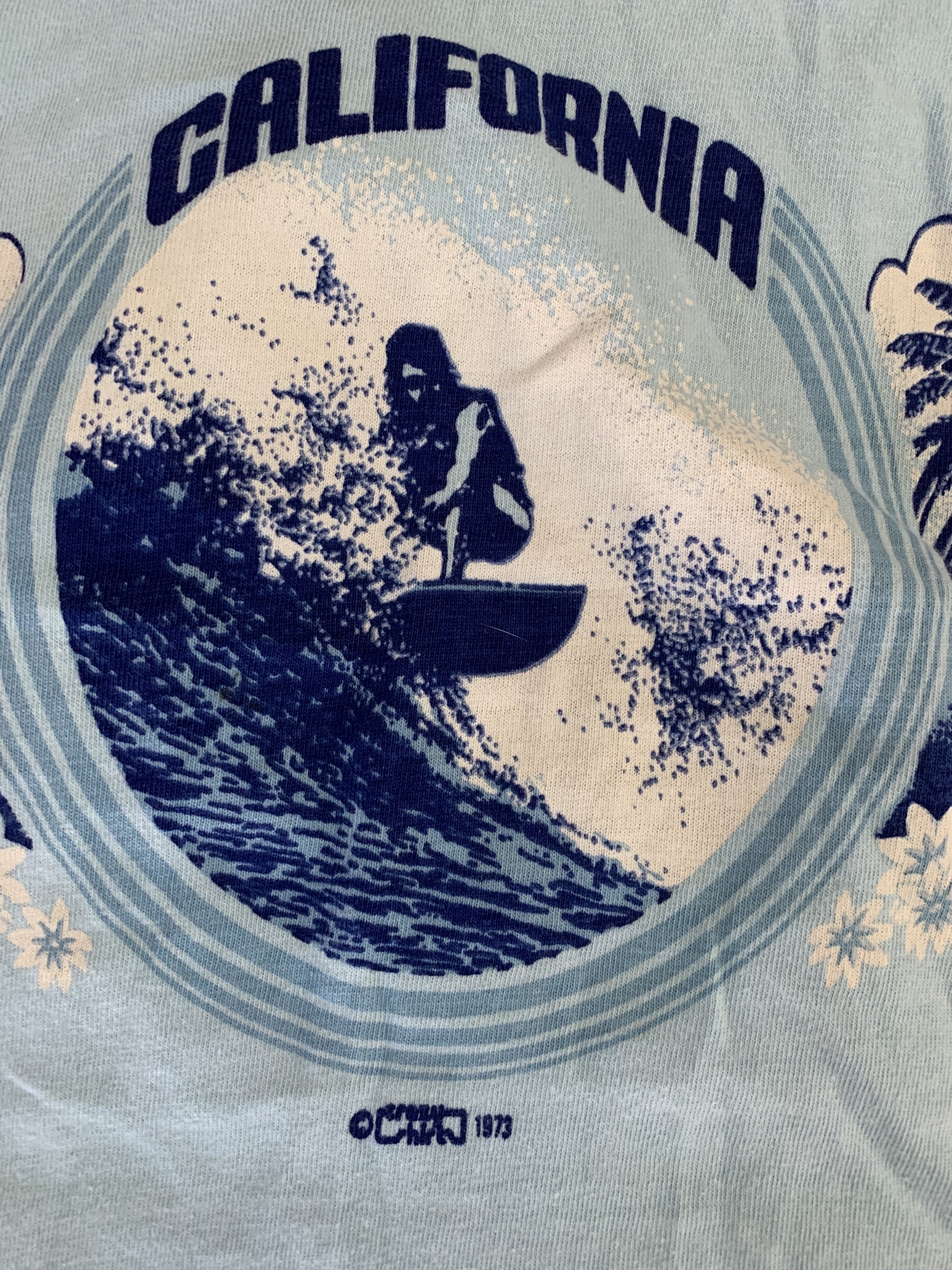 vintage 1973 california surfer surfing t-shirt crazy shirts