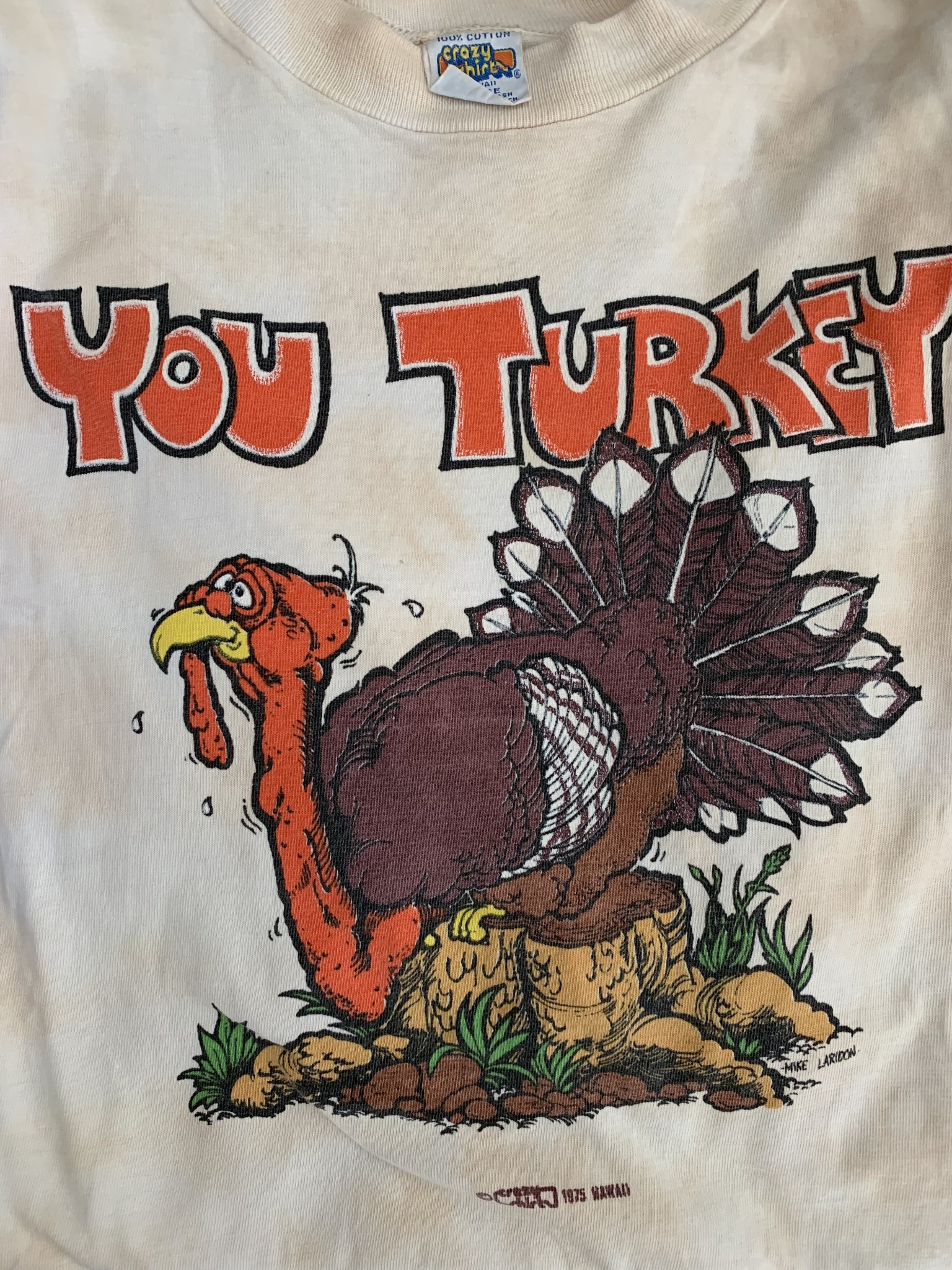 vintage 1975 you turkey crazy shirts t-shirt