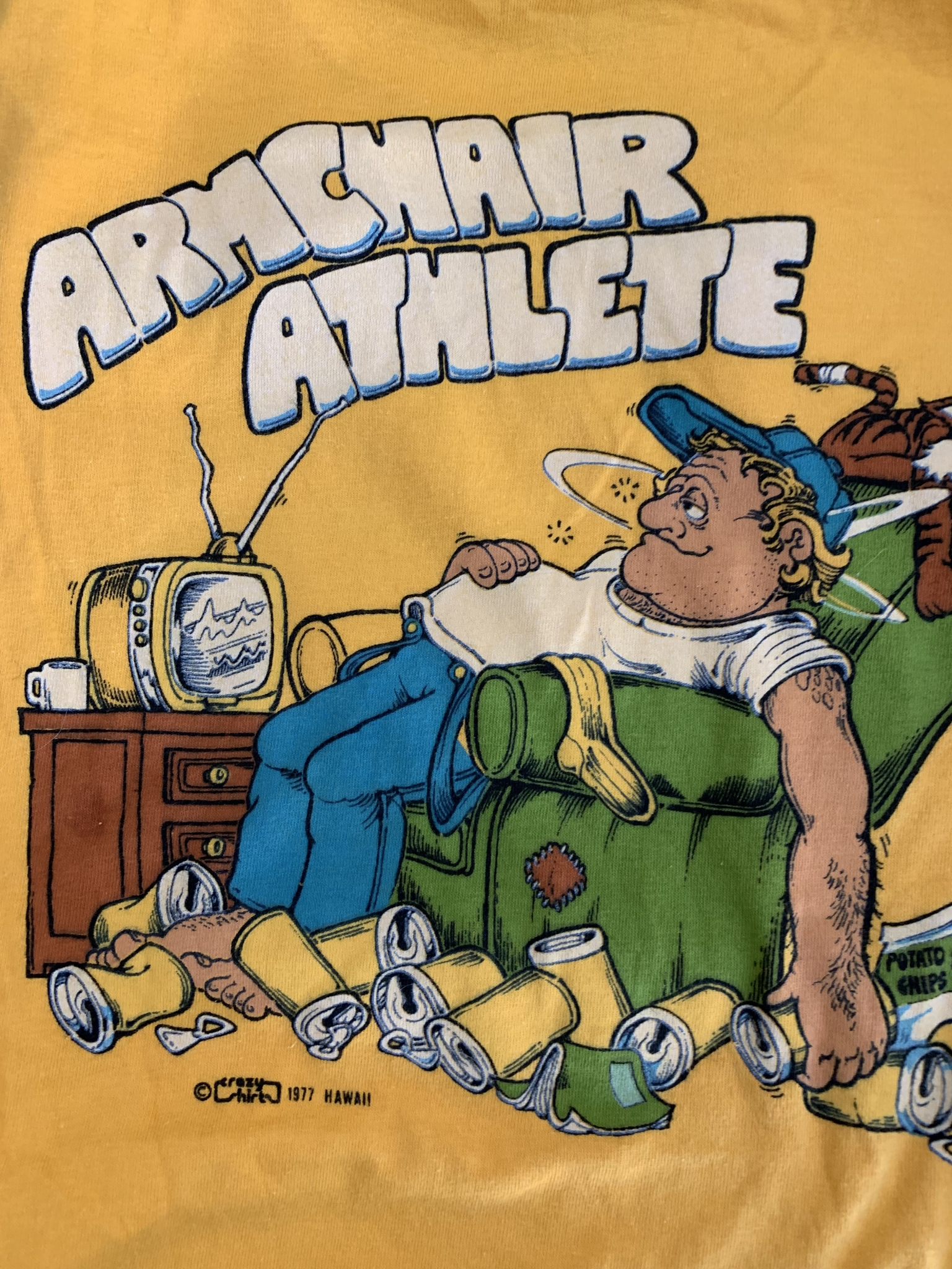 vintage 1977 crazy shirts armchair athlete t-shirt