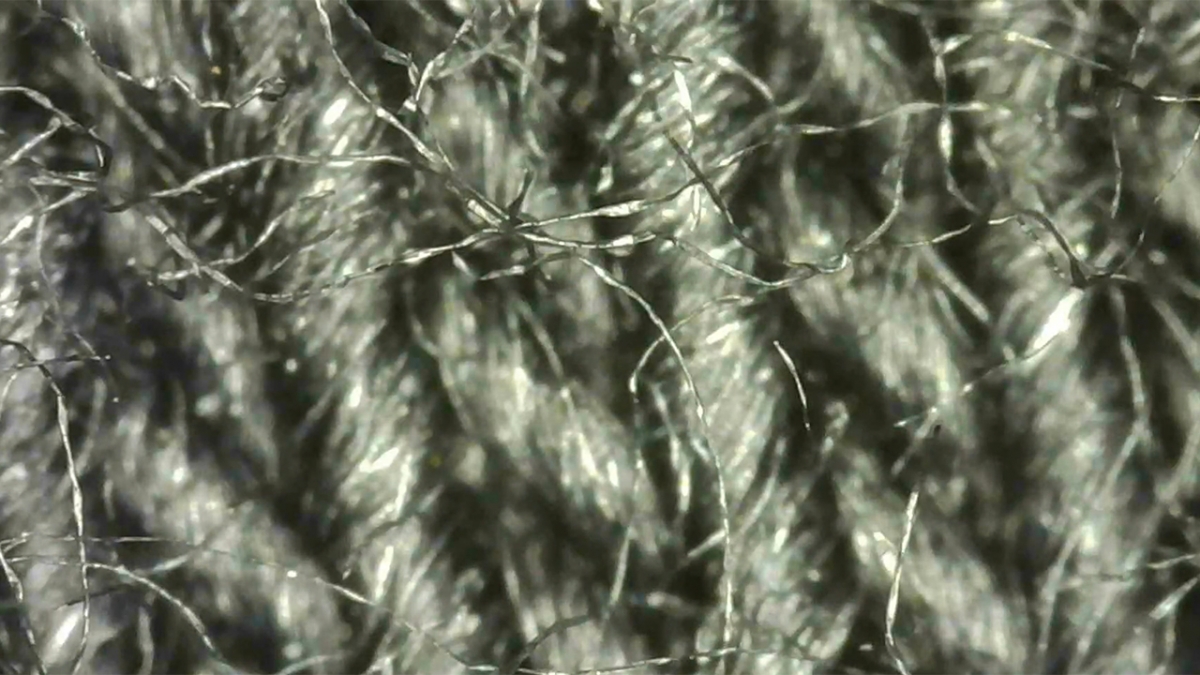 Dry Rot T-Shirt Fibers Under Magnification