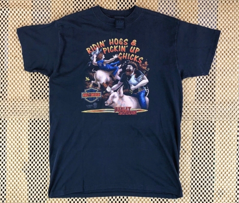Vintage 1989 3D Emblem Harley-Davidson Ridin Hogs Pickin Up Chicks T-Shirt
