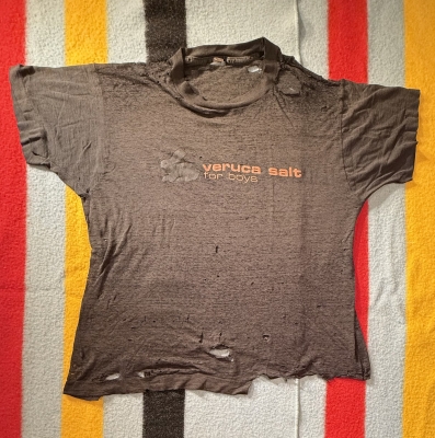 Vintage Veruca Salt concert shirt